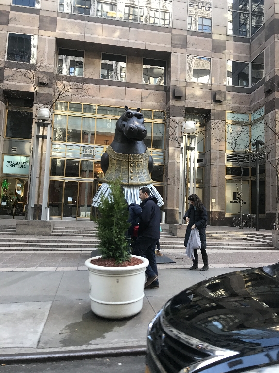 IMG_7665.JPG